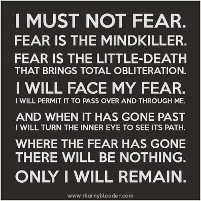 Fear IS the mind killer